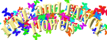 Fine And Fancy Flowers - Logo